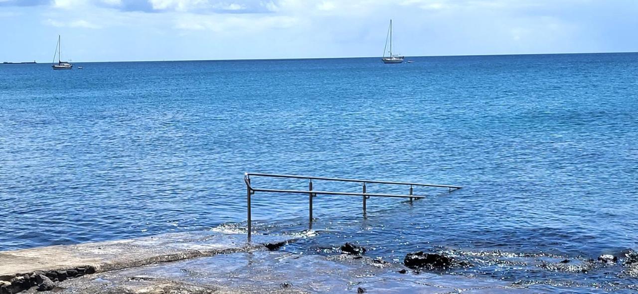 Loro Verde Playa Honda  Eksteriør billede
