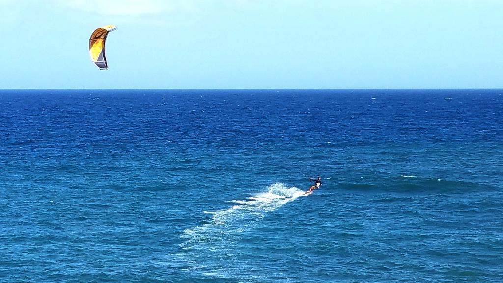 Loro Verde Playa Honda  Eksteriør billede
