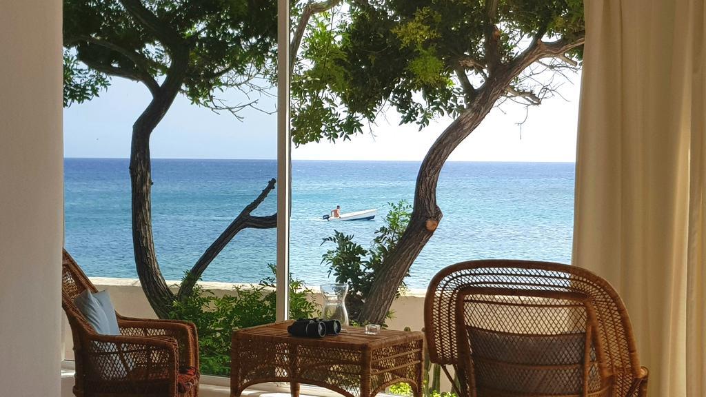 Loro Verde Playa Honda  Eksteriør billede
