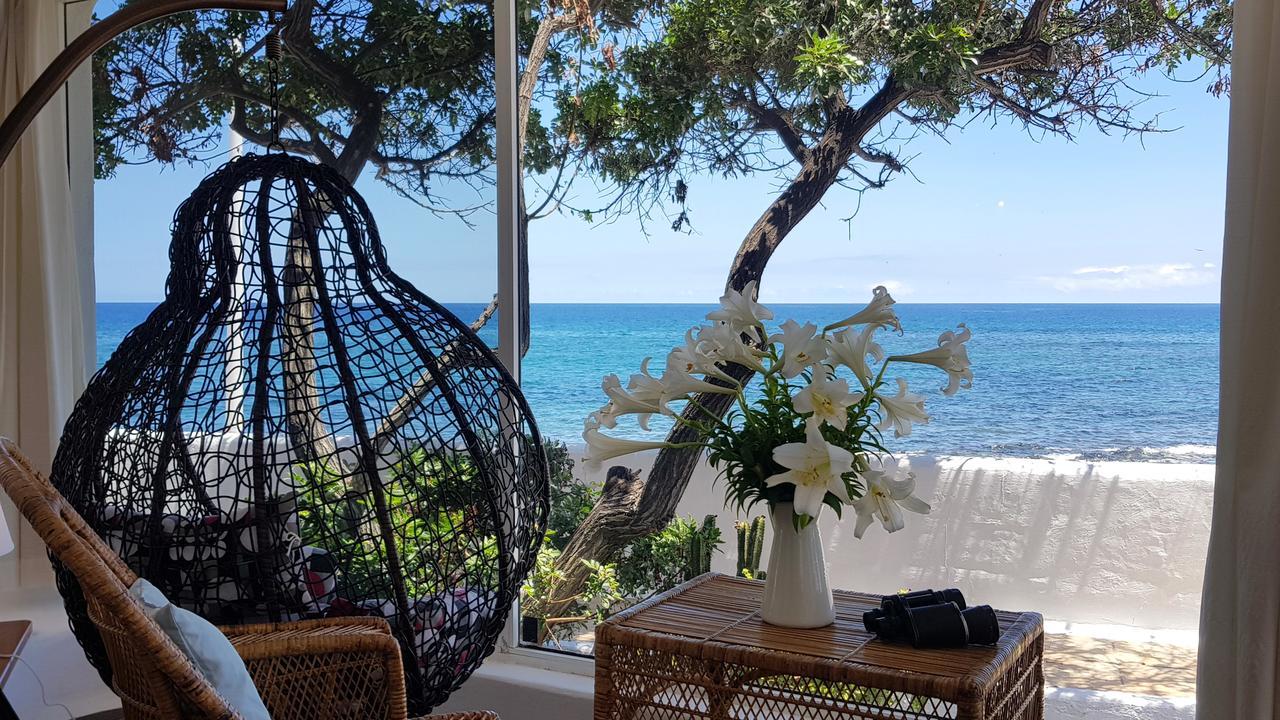 Loro Verde Playa Honda  Eksteriør billede